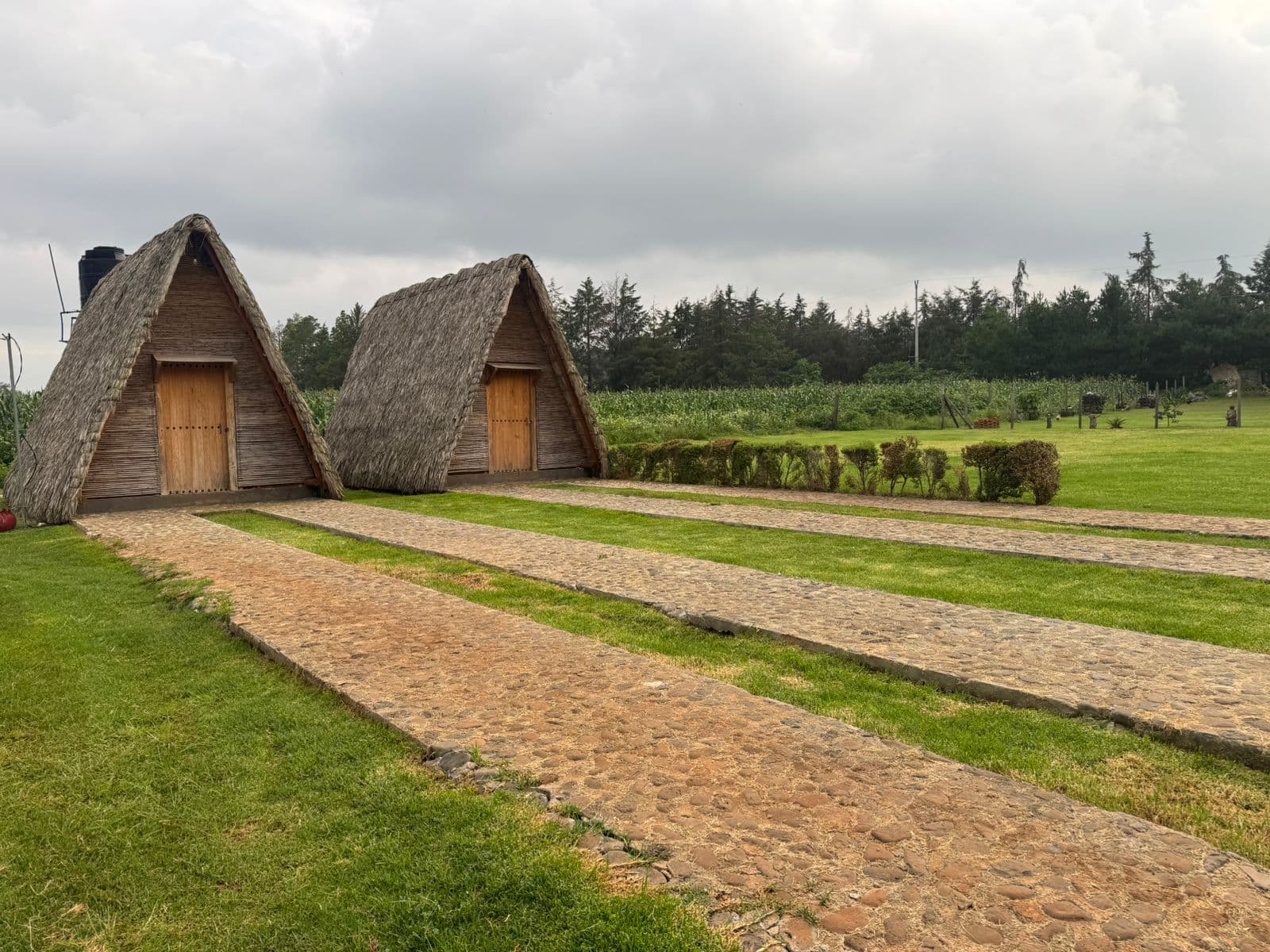 Cabañas Green Life imagen 1